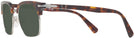 Square Havana Persol 3199S Sunglasses View #3