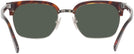Square Havana Persol 3199S Sunglasses View #4