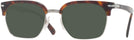 Square Havana Persol 3199S Sunglasses View #1