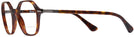Round Havana Persol 3254V Bifocal View #3