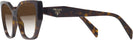 Cat Eye Tortoise  Prada 18WV w/ Gradient Bifocal Reading Sunglasses View #3