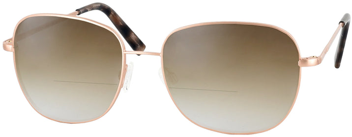   Cecil 23K Bifocal Reading Sunglasses with Gradient View #1