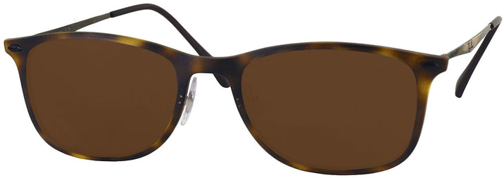   Ray-Ban 4225 Progressive No Line Reading Sunglasses View #1