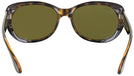 Oval Havana Ray-Ban 4325 Sunglasses View #4