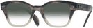 Wayfarer GRADIENT GREY HAVANA Ray-Ban 0880 Bifocal Reading Sunglasses with Gradient View #1