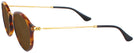 Round Brown Havana Ray-Ban 2447VL Round Fleck Bifocal Reading Sunglasses View #3