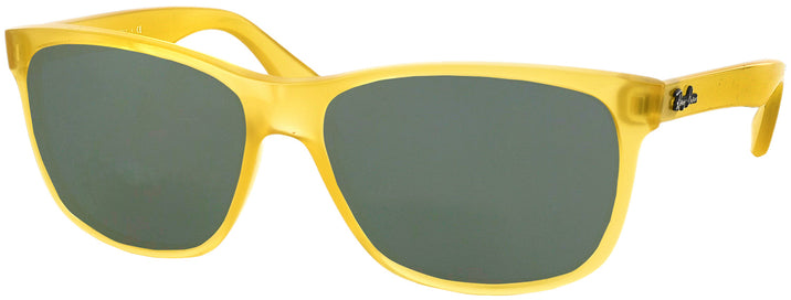   Ray-Ban 4181 Progressive No Line Reading Sunglasses View #1