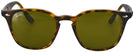 Square Light Havana Ray-Ban 4258 Sunglasses View #2