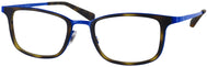 Blue/havana #1