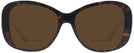 Oversized Shiny Dark Havana Ralph Lauren 8144 Bifocal Reading Sunglasses View #2
