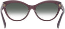 Cat Eye Transparent Violet Ralph Lauren 8213 View #4