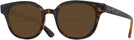 Square Havana Ray-Ban 4324V Bifocal Reading Sunglasses View #1
