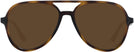 Aviator Havana Ray-Ban 4376V Progressive No Line Reading Sunglasses View #2