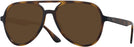 Aviator Havana Ray-Ban 4376V Progressive No Line Reading Sunglasses View #1