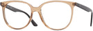 Square Transparent Brown Ray-Ban 4378V Progressive No-Lines View #1
