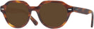 Round Striped Havana Ray-Ban 7214 Progressive No Line Reading Sunglasses View #1
