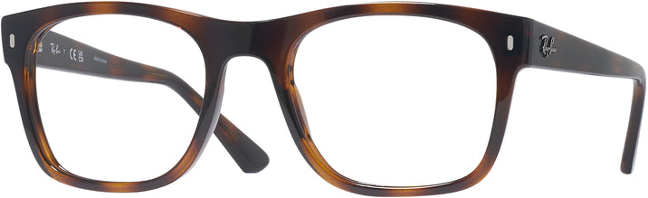 Square Havana Ray-Ban 7228 Progressive No-Line View #1