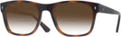 Square Havana Ray-Ban 7228 w/ Gradient Bifocal Reading Sunglasses View #1