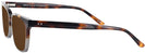 Square Havana Grey Seattle Eyeworks 971L Progressive No Line Reading Sunglasses View #3