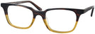 Square Gradient Brown Seattle Eyeworks 977 Progressive No-Lines View #1