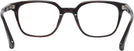 Square Tortoise Seattle Eyeworks 983 Single Vision Full Frame View #4