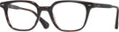 Square Tortoise Seattle Eyeworks 983 Single Vision Full Frame View #1