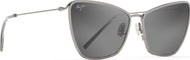Shiny Gunmetal/Grey Lens #1