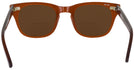 Wayfarer Brown Smoke Shuron Freeway 48 (Women&#39;s Average Fit) Bifocal Reading Sunglasses View #4