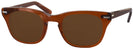 Wayfarer Brown Smoke Shuron Freeway 48 (Women&#39;s Average Fit) Bifocal Reading Sunglasses View #1