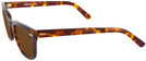 Wayfarer Demi Amber Shuron Freeway 48 (Women&#39;s Average Fit) Bifocal Reading Sunglasses View #3