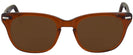 Wayfarer Brown Smoke Shuron Freeway 54 (Mens XL Fit) Progressive No Line Reading Sunglasses View #2