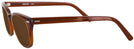 Wayfarer Brown Smoke Shuron Freeway 54 (Mens XL Fit) Progressive No Line Reading Sunglasses View #3