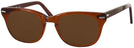 Wayfarer Brown Smoke Shuron Freeway 54 (Mens XL Fit) Progressive No Line Reading Sunglasses View #1