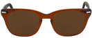Wayfarer Brown Smoke Shuron Freeway 54 (Mens XL Fit) Bifocal Reading Sunglasses View #2