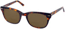 Wayfarer Demi Amber Shuron Freeway 54 (Mens XL Fit) Bifocal Reading Sunglasses View #1