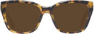 Square Havana Clear Swarovski 2008 Progressive No-Line Reading Sunglasses View #2