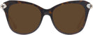 Butterfly Havana Swarovski 2012 Progressive No-Line Reading Sunglasses View #2