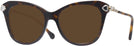 Butterfly Havana Swarovski 2012 Progressive No-Line Reading Sunglasses View #1