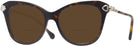 Butterfly Havana Swarovski 2012 Bifocal Reading Sunglasses View #1