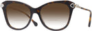 Butterfly Havana Swarovski 2012 w/ Gradient Bifocal Reading Sunglasses View #1
