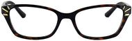 Dark Tortoise #2