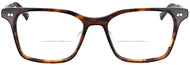 Brown #2
