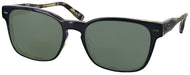 Black/tortoise #1
